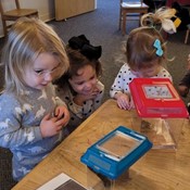 Children learning about insects